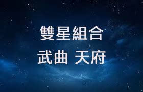 武曲天府名人|武曲星在命宮